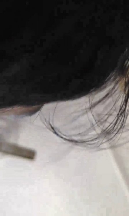Shin8965.mp4_snapshot_00.37_[2021.04.09_15.16.37].jpg