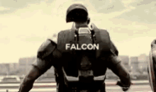 Falcon Soldier