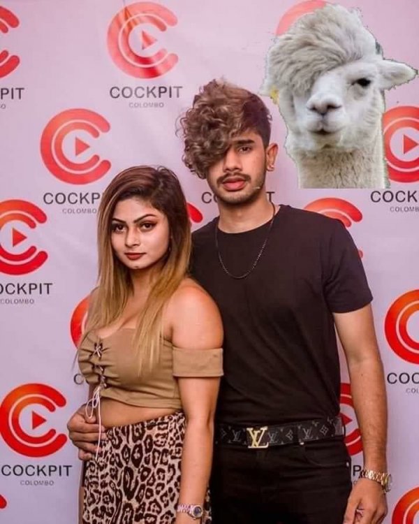 14_tik.jpg