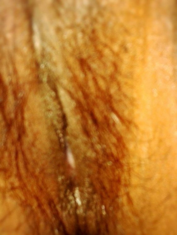101.jpg.08517c5bc2af7666833bd9b687a3e5cd.jpg