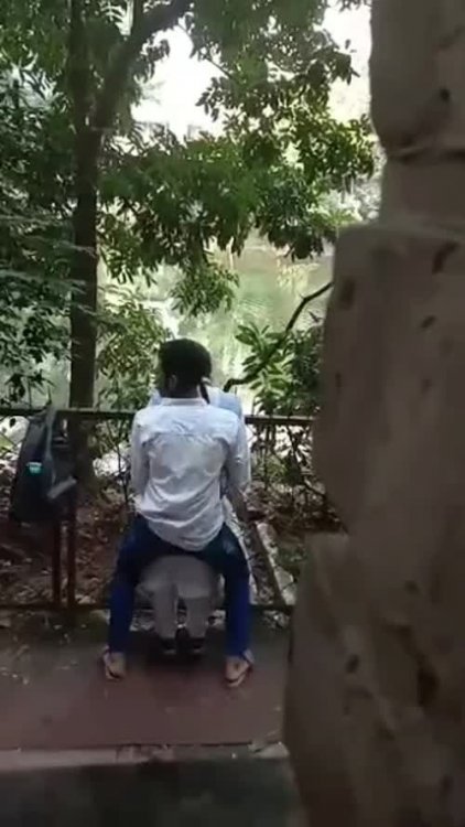 781031.jpg