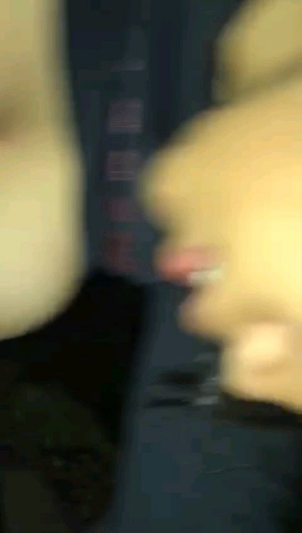 2022-12-07 11_41_45.jpg